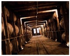 Single Barrel